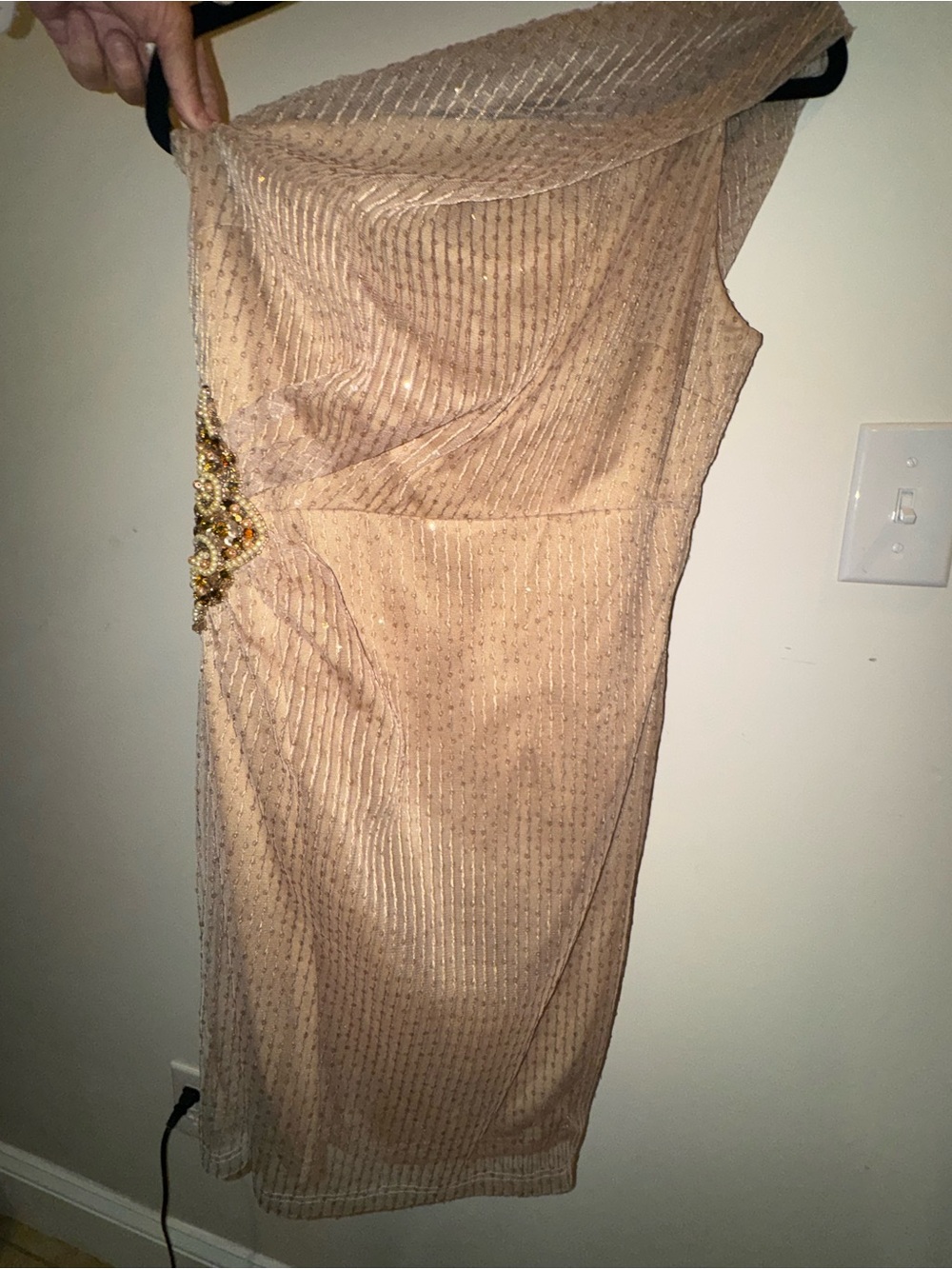 David Meister One-Shoulder Blush-Beige Evening Dress with Gold Accent